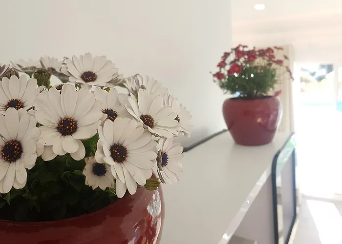 Дом отдыха Nira House Luxury & Simplicity Эрисейра