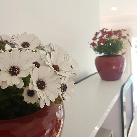 度假居 Nira House Luxury & Simplicity 埃里塞拉